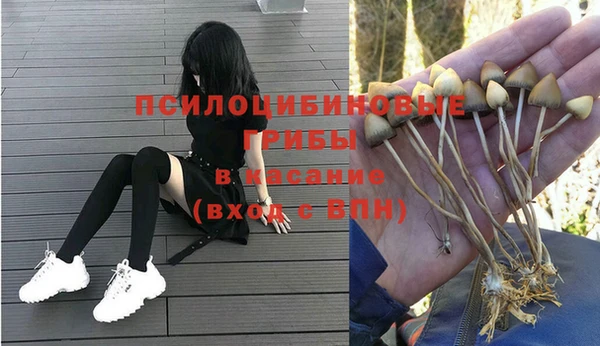 мдпв Абинск