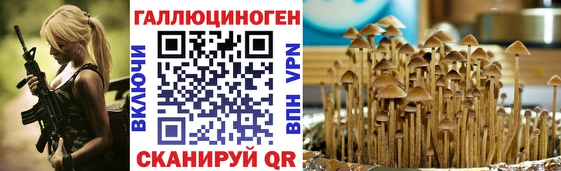 Галлюциногенные грибы прущие грибы  Кызыл 